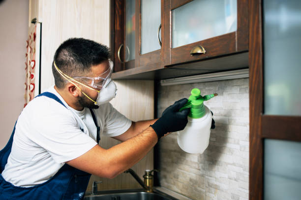 Best Pest Control Near Me in Weaverville, NC