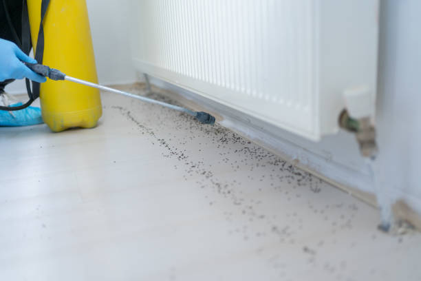Best Pest Control Near Me  in Weaverville, NC